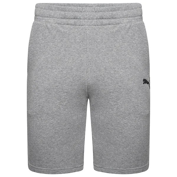 Puma Goal Casuals Shorts